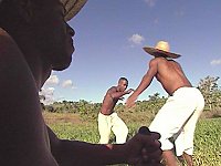 Feldarbeiter beim Capoeira