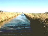 Wassergraben zwischen zwei Feldern